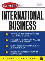 Careers in international business 2003