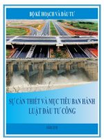 sự cần thiết và mục tiêu của luật đầu tư công