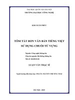 Tóm tắt đơn văn bản tiếng việt sử dụng chuỗi từ vựng 