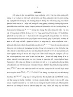 Tóm tăt nghiên cứu nhóm lượng tử su(2) trong vật lí hạt cơ bản 