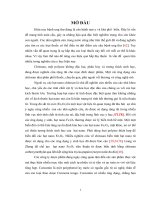 Phân tích, đánh giá hiệu quả mang curcumin lên hạt nano chitosan từ tính