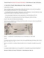 Giải bài 1,2,3 trang 31 SGK Sinh 11: Dinh dưỡng nitơ ở thực vật (tiếp theo)