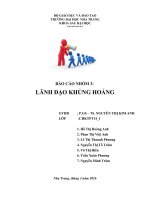 Lãnh đạo trong khủng hoảng (Thường trực)
