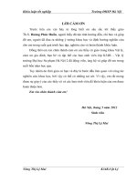 Khảo sát về sự bất đối xứng trong tương tác lepton hạt nhân có năng lượng cao 