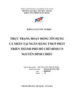 THỰC TRẠNG HOẠT ĐỘNG TÍN DỤNG CÁ NHÂN TẠI NGÂN HÀNG TMCP PHÁT TRIỂN THÀNH PHỐ HỒ CHÍ MINH CN NGUYỄN ĐÌNH CHIỂU