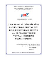 THỰC TRẠNG VÀ GIẢI PHÁP NÂNG CAO HOẠT ĐỘNG CHO VAY TIÊU DÙNG TẠI NGÂN HÀNG THƢƠNG MẠI CỔ PHẦN KỸ THƢƠNG VIỆT NAM CHI NHÁNH NGUYỄN THÁI SƠN