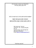 báo cáo kết quả sáng kiến kinh nghiệm một số dạng đề cơ bản bồi dưỡng học sinh giỏi lớp 10 