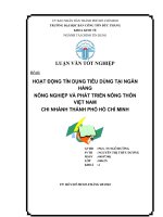 HOẠT ĐỘNG TÍN DỤNG TIÊU DÙNG TẠI NGÂN HÀNG NÔNG NGHIỆP VÀ PHÁT TRIỂN NÔNG THÔN VIỆT NAM CHI NHÁNH THÀNH PHỐ HỒ CHÍ MINH