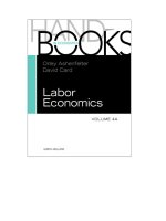 Handbook of LABOR ECONOMICS volume 4a  2010 