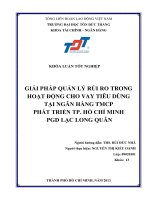 GIẢI PHÁP QUẢN LÝ RỦI RO TRONG HOẠT ĐỘNG CHO VAY TIÊU DÙNG TẠI NGÂN HÀNG TMCP PHÁT TRIỂN TP. HỒ CHÍ MINH PGD LẠC LONG QUÂN