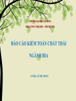 Thuyết trình kiểm toán ngành bia