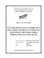 CÁC GIẢI PHÁP NÂNG CAO HIỆU QUẢ HOẠT ĐỘNG TÍN DỤNG CÁ NHÂN TẠI NGÂN HÀNG TMCP PHÁT TRIỂN TPHCM PGD LẠC LONG QUÂN