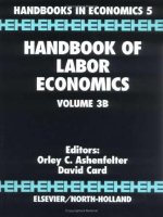 Handbook of LABOR ECONOMICS vol  3b 