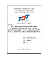 THỰC TRẠNG VÀ GIẢI PHÁP PHÁT TRIỂN HOẠTĐỘNG CHO VAY TIÊU DÙNG TẠI NGÂN HÀNG NÔNG NGHIỆP VÀ PHÁT TRIỂN NÔNG THÔN VIỆT NAMCHI NHÁNH THÀNH PHỐ HỒ CHÍ MINH