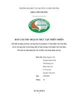 BÁO CÁO THU HOẠCH THỰC TẬP THIÊN NHIÊN Tìm hiểu đa dạng sinh học của kẹp kìm (Lucanidae) ở Vườn Quốc Gia Tam Đảo, vai trò của kẹp kìm (và ấu trùng) đối với môi trường Vườn Quốc Gia Tam Đảo. Đề xuất các biện pháp bảo tồn và kiểm soát nhóm động vật này