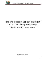BÁO CÁO ĐÁNH GIÁ KẾT QUẢ THỰC HIỆN GIAI ĐOẠN 1-KẾ HOẠCH HÀNH ĐỘNG QUỐC GIA VỀ IPv6 (2011-2012)