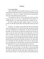 Luật áp dụng điều chỉnh hợp đồng thương mại quốc tế tại việt nam 