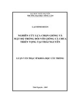 Nghiên cứu lựa chọn giống và mật độ trồng đối với giống cà chua có triển vọng tại Thái Nguyên