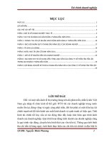 Phân tích tài chính doanh nghiệp tại Công ty Cổ phần Tân Tấn Lộc