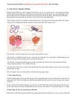 Giải bài 1,2,3,4 SGK trang 56 Sinh 9: Bài 18 Prôtêin