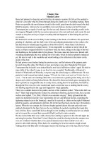 Harry Potter and the Order of the Phoenix (Harry Potter và Hội Phượng Hoàng  tập 5)