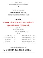 ĐƯỜNG LỐI CÁCH MẠNG  CỦA ĐẢNG CỘNG SẢN VIỆT NAM