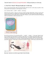 Giải bài 1,2,3 trang 59 SGK Sinh 9: Mối quan hệ giữa gen và tính trạng