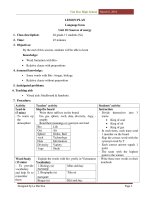 Giáo án tiếng Anh lớp 11 nâng cao_Unit 10_Language focus