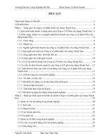 Báo cáo thực tập: phân tích một cách hiệu quả hoạt động kinh doanh của công ty cổ phần Gốm xây dựng Thanh Sơn.