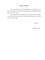 Nghiên cứu đầu tư công cho hoạt động khuyến nông trên điạ bàn huyện Anh Sơn tỉnh Nghệ An