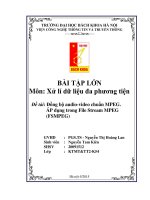 Đồng bộ audiovideo chuẩn MPEG. ÁP dụng trong File Stream MPEG (FSMPEG)