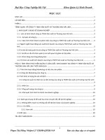 Tình hình thực hiện nhiệm vụ sản xuất kinh doanh Công ty TNHH Sản xuất và Thương mại Hải Linh