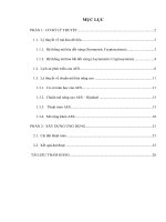 Tiểu luận về mã hóa AES