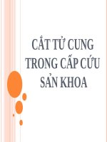Bài giảng cắt tử cung trong cấp cứu sản khoa