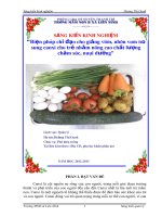 ĐỀ TÀI: SÁNG KIẾN KINH NGHIỆM “Biện pháp chỉ đạo cho giảng viên, nhân viên bổ sung canxi cho trẻ nhằm nâng cao chất lượng chăm sóc, nuôi dưỡng ở TRƯỜNG MẦM NON LIÊN NINH