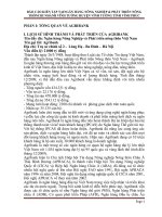 Báo cáo kiến tập tại ngân hàng nông nghiệp và phát triển nông thôn chi nhánh vĩnh tường huyện vĩnh tưỡng tỉnh vĩnh phúc