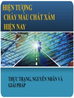 Thuyết trình hiện tượng chảy máu chất xám hiện nay thực trạng nguyên nhân và giải pháp 