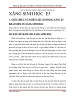 BÁO CÁO XĂNG SINH HỌC E5 DÙNG CHO ĐỘNG CƠ ĐỐT TRONG