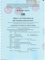 báo cáo thực tập tại công ty cổ phần nhựa và môi trường xanh an phát