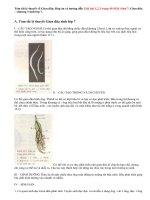 Giải bài 1,2,3 trang 49 SGK Sinh 7: Giun đũa