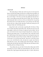 Đánh giá hiện trạng môi trường nông thôn trên địa bàn xã Thuỷ An – huyện Đông Triều – tỉnh Quảng Ninh