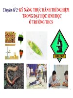 Bài thuyết trình kỹ năng thực hành thí nghiệm trong dạy học sinh học ở trường trung học cơ sở