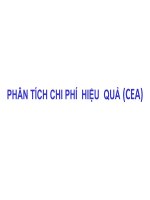 phân tích chi phí-hiệu quả