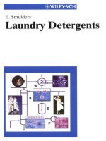 Laundry detergents công thức nước giặt
