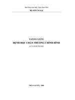 Bệnh học chấn thương chỉnh hình