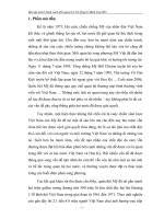 tiểu luận chất đọc da cam