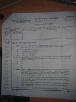 Đề thi tin học nghiệp vụ hải quan 