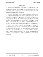 Phân tích hiệu quả sử dụng vốn kinh doanh tại Công ty TNHH TM  DV Ngọc Lâm