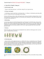 Giải bài 1,2,3 trang 19 SGK Sinh 7 : Trùng roi