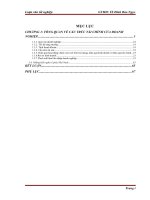 Hoàn thiện cấu trúc tài chính của công ty cổ phần nhựa đà nẵng